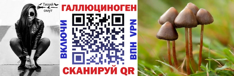 Галлюциногенные грибы Magic Shrooms  Ипатово 